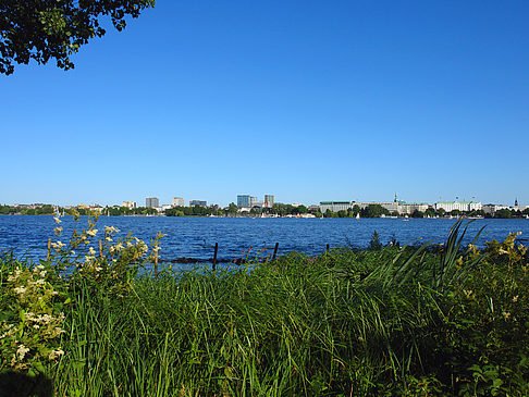 Blick nach Osten von der Außenalster Fotos