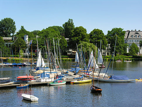 Foto Bootsverleih und Hafen auf der Außenalster - Hamburg