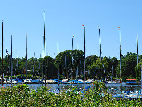 Foto Bootsverleih und Hafen auf der Außenalster - Hamburg