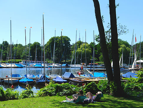 Foto Bootsverleih und Hafen auf der Außenalster - Hamburg