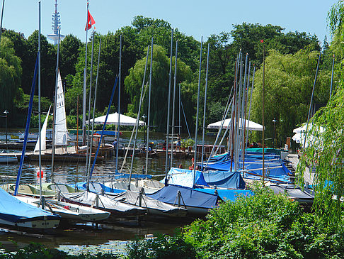 Bootsverleih und Hafen auf der Außenalster