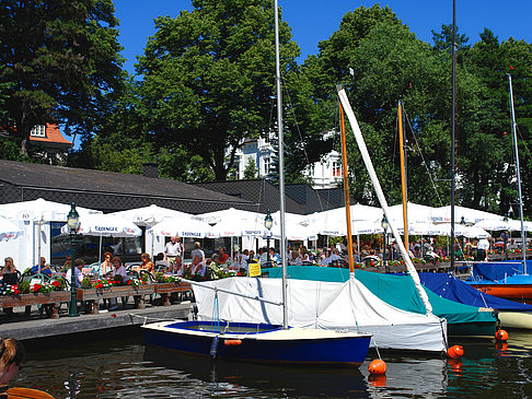 Bootsverleih und Hafen auf der Außenalster Fotos