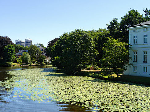 Foto Langer Zug - Außenalster