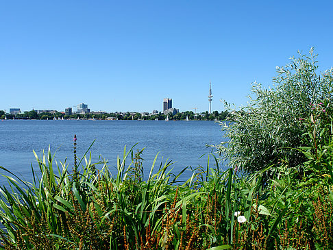 Schöne Aussicht Foto 