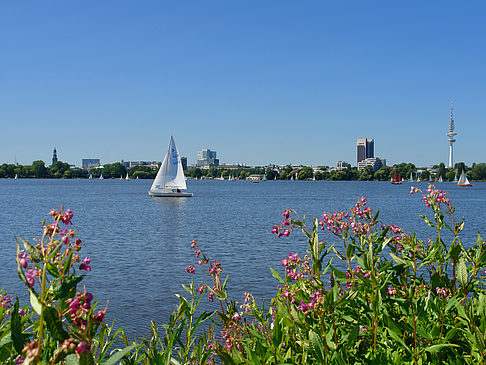 Segeln auf der Außenalster