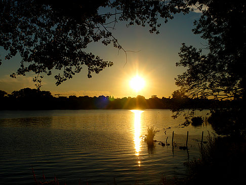 Foto Sonnenuntergang an der Außenalster - Hamburg