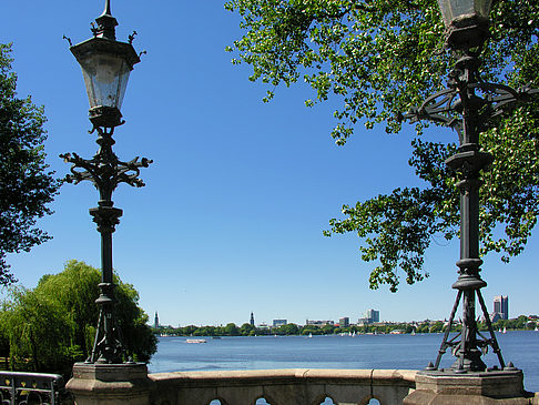 Bäume und Laterne an der Binnenalster