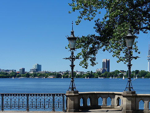 Bäume und Laterne an der Binnenalster