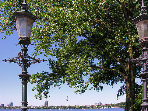 Bäume und Laterne an der Binnenalster Foto 