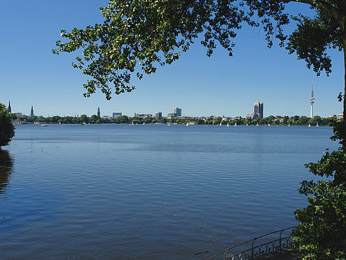 Bäume und Laterne an der Binnenalster Foto 