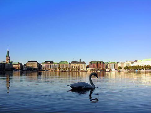 Fotos Binnenalster | Hamburg