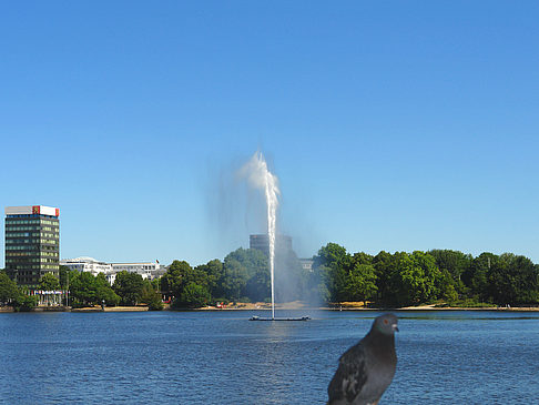 Fontäne auf der Binnenalster Foto 