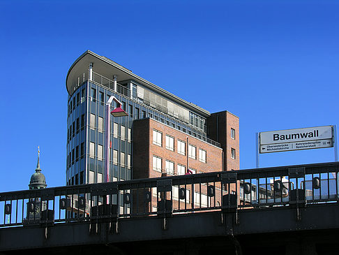 Baumwall Foto 