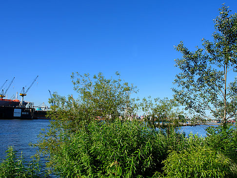 Foto Blick auf den Hafen - Hamburg