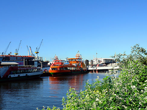 Foto Blick auf den Hafen - Hamburg