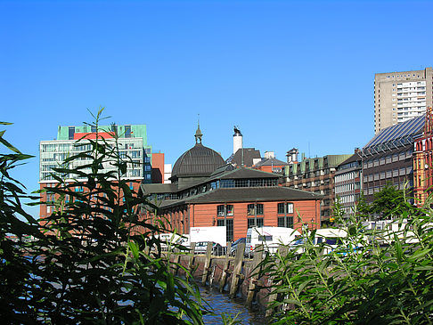 Fotos Fischmarkt | Hamburg