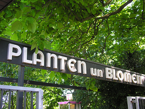 Foto Planten un Blomen - Eingang