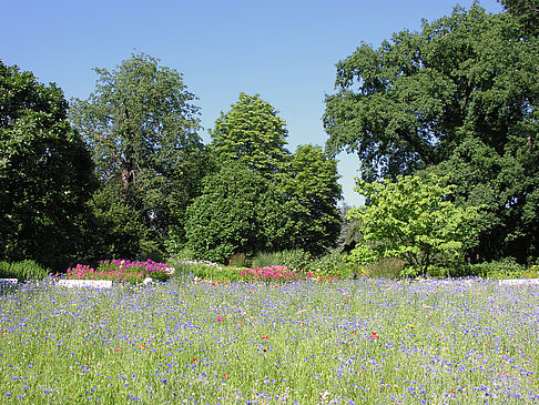 Planten un Blomen - Gärten Foto 