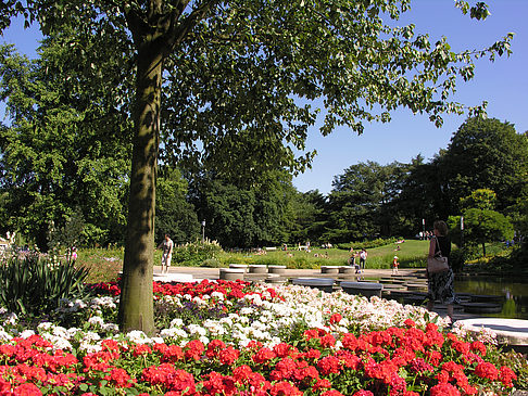 Planten un Blomen - Gärten Foto 