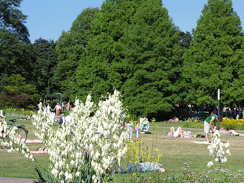 Foto Planten un Blomen - Gärten - Hamburg