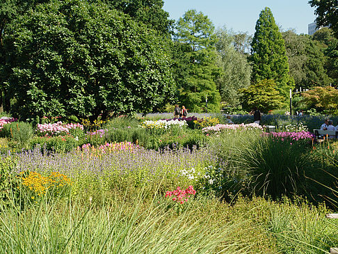 Foto Planten un Blomen - Gärten