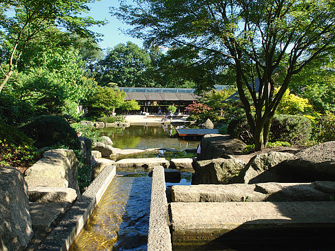 Fotos Planten un Blomen - Japanischer Garten