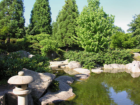 Fotos Planten un Blomen - Japanischer Garten | Hamburg