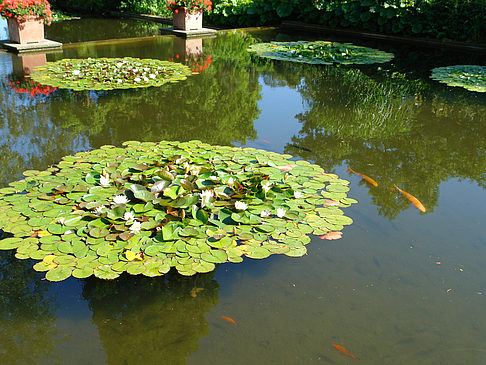 Fotos Planten un Blomen - Wasserkaskaden