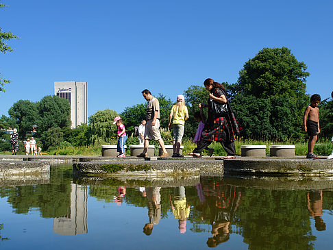 Foto Planten un Blomen - Wasserkaskaden