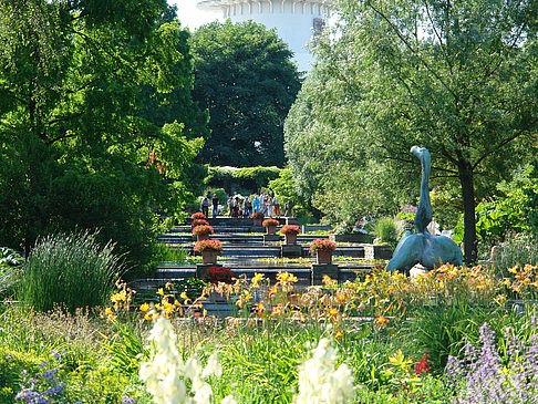 Foto Planten un Blomen - Wasserkaskaden - Hamburg