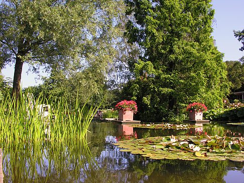 Planten un Blomen - Wasserkaskaden Foto 