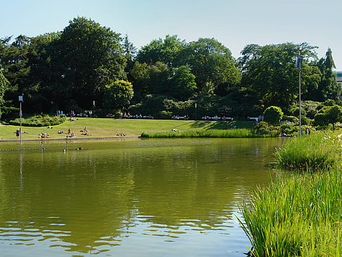 Planten un Blomen - Wiese am Parksee Foto 