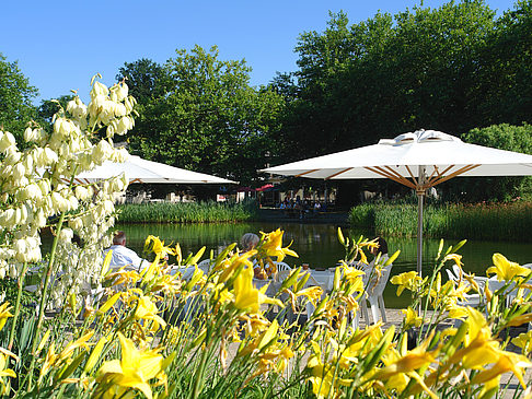 Fotos Planten un Blomen - Wiese am Parksee