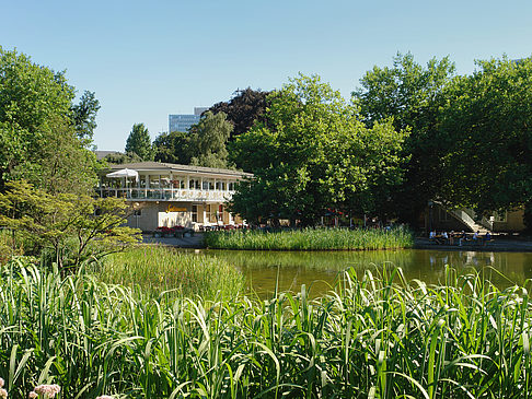 Planten un Blomen - Wiese am Parksee Foto 