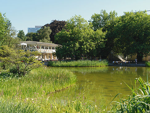 Fotos Planten un Blomen - Wiese am Parksee