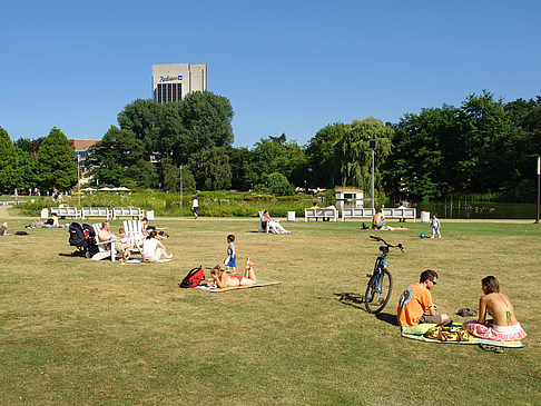 Planten un Blomen - Wiese am Parksee Fotos