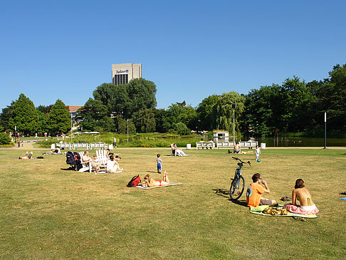 Foto Planten un Blomen - Wiese am Parksee - Hamburg