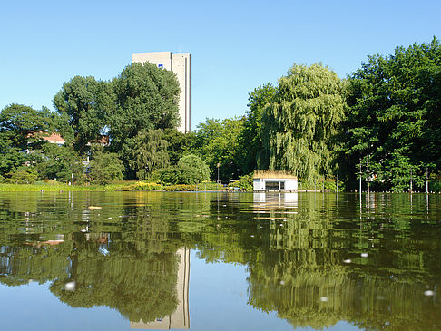 Foto Planten un Blomen - Wiese am Parksee