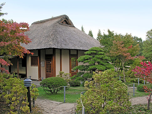 Japanischer Garten Foto 