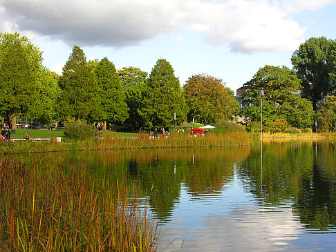 Fotos Planten un Blomen | Hamburg