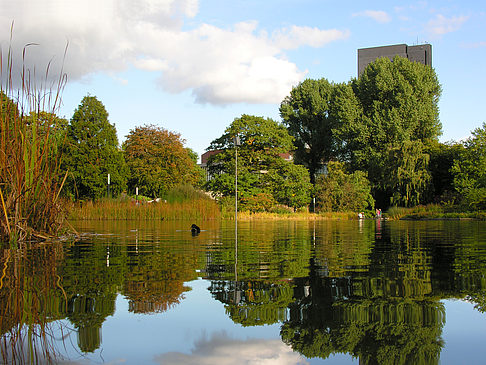 Foto Planten un Blomen - Hamburg