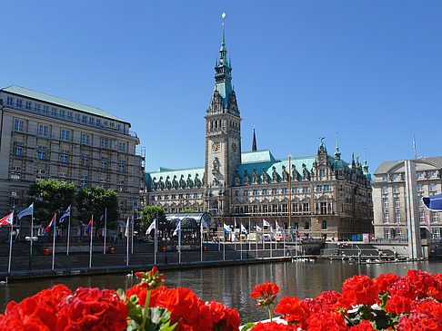 Rathaus mit Alsterfleet Fotos