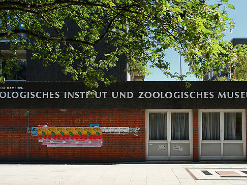 Foto Zoologisches Museum - Hamburg