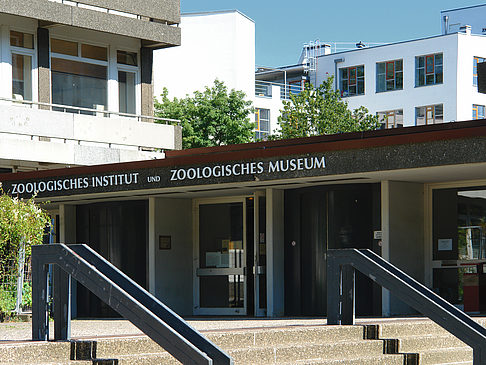 Zoologisches Museum