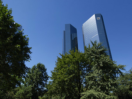 Foto Deutsche Bank mit Bäumen - Frankfurt am Main