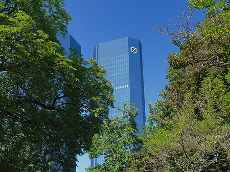 Deutsche Bank mit Bäumen