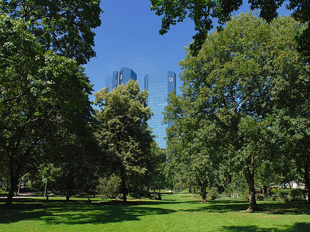 Fotos Deutsche Bank mit Wald | Frankfurt am Main