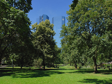 Deutsche Bank mit Wald Fotos