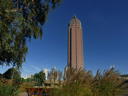 Foto Messeturm auf Wiese - Frankfurt am Main