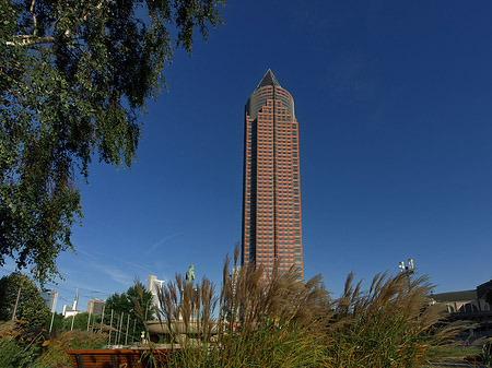 Fotos Messeturm auf Wiese